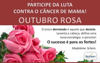 OUTUBRO ROSA 2015_SCHEIN